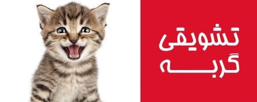 cat-2 غذای گربه مکمل