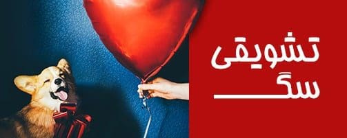 dog غذای سگ مکمل