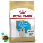 غذای خشک سگ گلدن رتریور پاپی رویال کنین – Royal Canin Golden Retriever Puppy