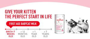 شیرخشک گربه رویال کنین مدل Royal Canin Baby cat milk 