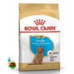 غذای خشک توله سگ پودل رویال کنین وزن 3 کیلوگرم