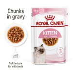 پوچ گربه رویال کنین کیتن Royal canin kitten gravy-salsa وزن 85 گرم