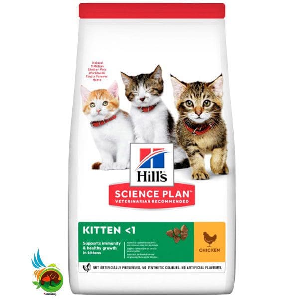 غذای خشک بچه گربه هیلز با طعم مرغ Hills science plan kitten with chicken وزن 1.5 کیلوگرم