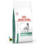 غذای خشک سگ دیابتیک رویال کنین Royal canin diabetic وزن 1.5 کیلوگرم