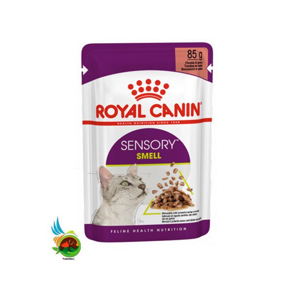 پوچ گربه سنسوری اسمل رویال کنین Royal canin sensory smell وزن ۸۵ گرم