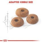 غذای خشک گربه رویال کنین فیت Royal Canin Regular Fit وزن 400 گرم