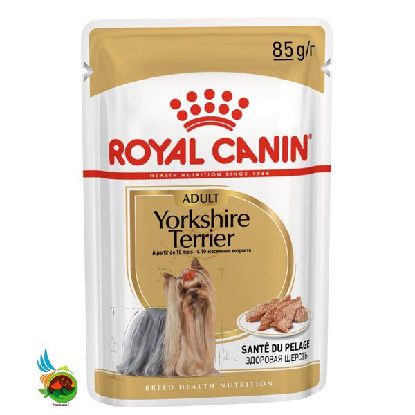 پوچ سگ نژاد یورکشایر تریر رویال کنین مدل Royal Canin Yorkshire Terrier وزن ۸۵ گرم