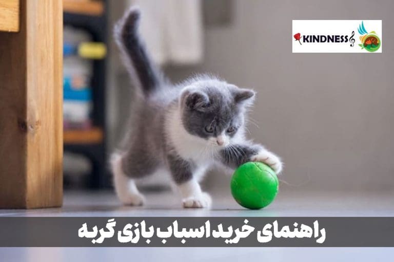 راهنمای خرید اسباب بازی گربه