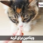 ویتامین برای گربه