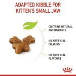 غذای خشک بچه گربه رویال کنین Royal Canin Kitten وزن 1 کیلوگرم ( بسته بندی ملودی مهربانی )