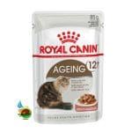 پوچ گربه سنیور رویال کنین مدل Royal canin ageing وزن 85 گرم