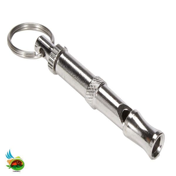 سوت آموزشی مخصوص سگ