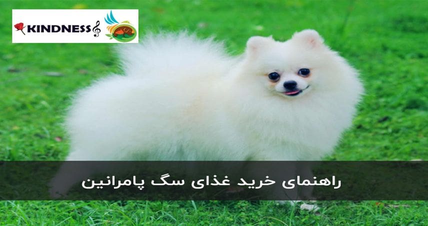 غذای سگ پامرانین