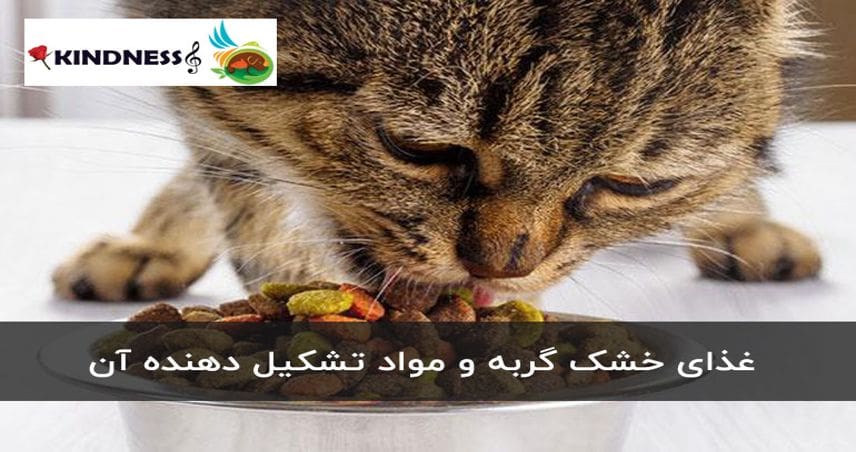 غذای خشک گربه