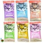 بستنی گربه یو اس پت در طعم های میکس Uspet cream cat treat یک عددی وزن ۵۵ گرم