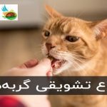 انواع تشویقی گربه