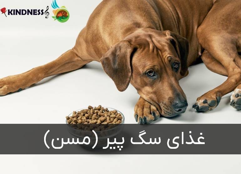 غذای سگ پیر (مسن)