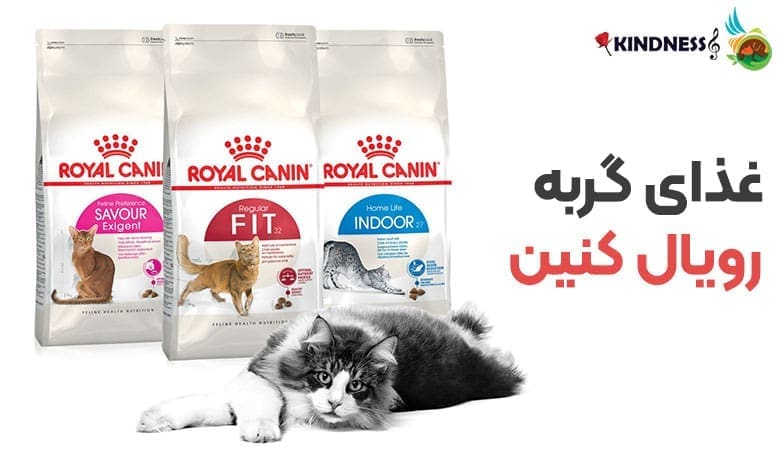 خرید غذای گربه رویال کنین 