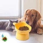 ظرف آب و غذا سگ و گربه پایه دار طرح خرسی - تصویر 3