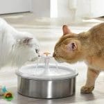 آبخوری اتومات سگ و گربه مخزن دار استیل گرانو 2.2 لیتری