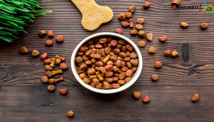 انواع غذای سگ پیت بول