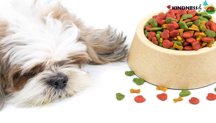 مقدار غذای سگ در روز براساس نژاد