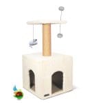 درخت گربه P نیناپت