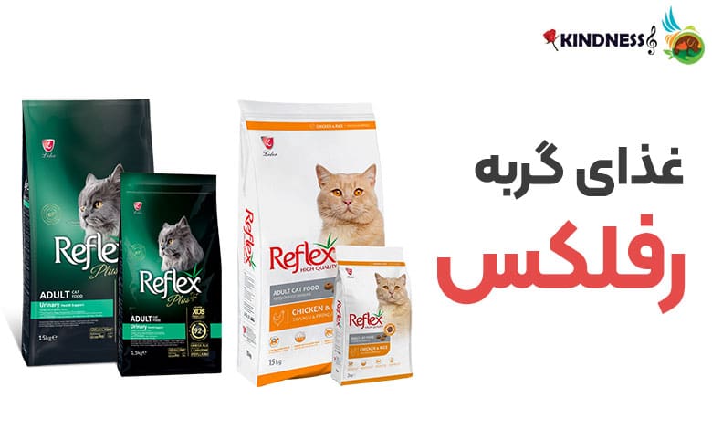 خرید غذای خشک گربه رفلکس