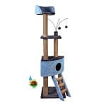 اسکرچر درختی کدیپک مدل نارگیل