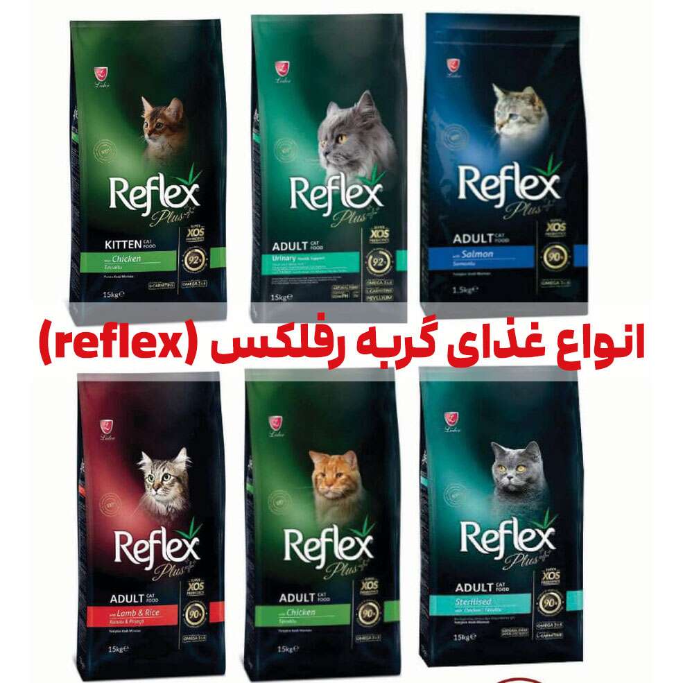 انواع غذای گربه رفلکس