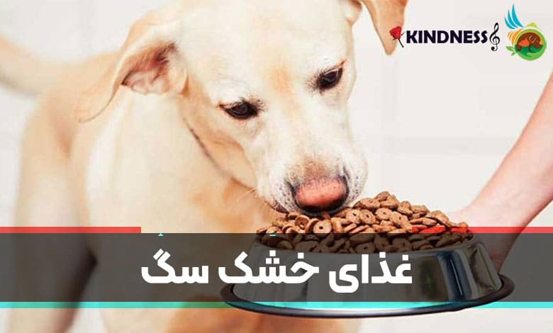 غذای سگ