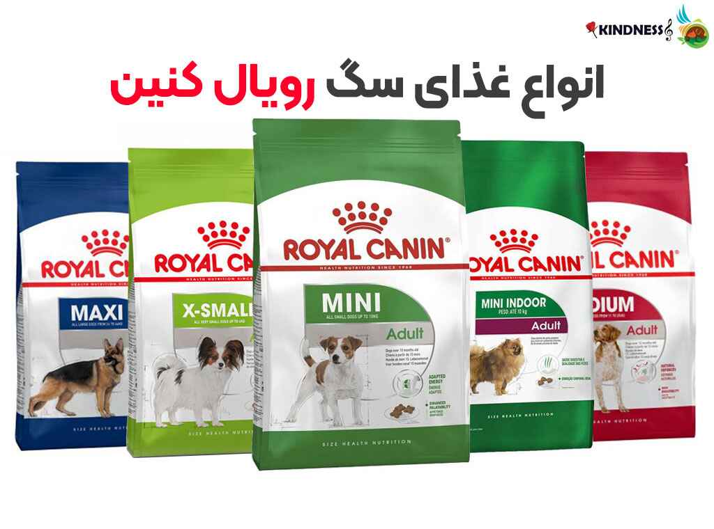 غذای سگ رویال کنین Royal canin