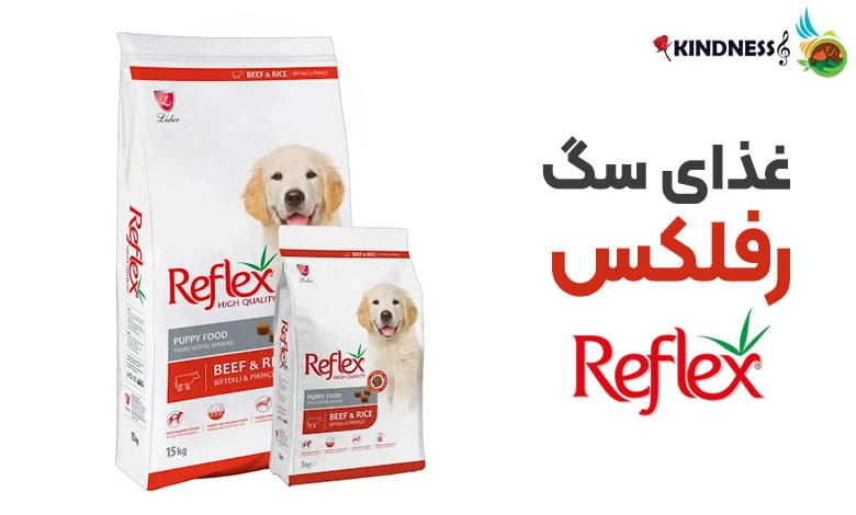 غذای سگ رفلکس reflex