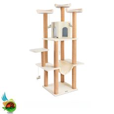 درخت گربه نیناپت کد Q