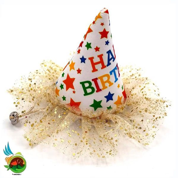 Untitled-1 کلاه تولد تادو - تصویر 1